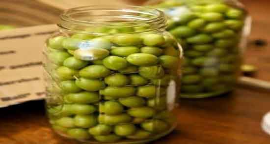 خواص زیتون شور برای معده ؛ فواید مصرف زیتون شور برای زخم معده