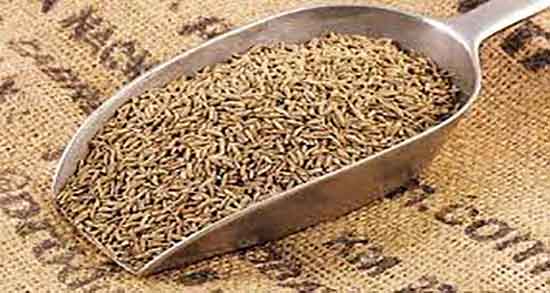 خواص زیره کوهی سیاه ؛ فواید مصرف زیره کوهی سیاه برای بدن چیست