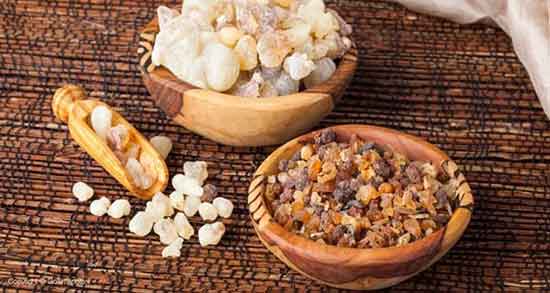 خواص سقز و عسل ؛ فواید مصرف سقز و عسل برای عفونت ریه