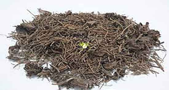 خواص سنبل الطیب برای لاغری و خوردن سنبل الطیب برای چربی سوزی خواص سنبل الطیب برای لاغری ؛ خوردن سنبل الطیب برای چربی سوزی