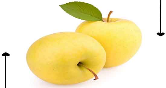 خواص سیب برای ریه و ایا خوردن سیب به درمان عفونت ریه کمک میکند خواص سیب برای ریه ؛ ایا خوردن سیب به درمان عفونت ریه کمک میکند