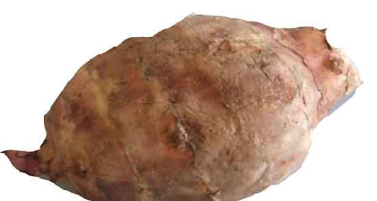 خواص سیب زمینی ترشی در بارداری ؛ فواید خوردن سیب زمینی ترشی برای زن باردار