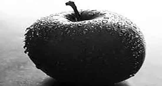 خواص سیب سیاه ؛ فواید مصرف سیب سیاه برای درمان کم خونی خواص سیب سیاه ؛ فواید مصرف سیب سیاه برای درمان کم خونی