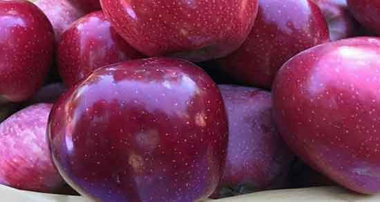 خواص سیب قرمز ناشتا برای سرماخوردگی با عسل برای لاغری و یبوست