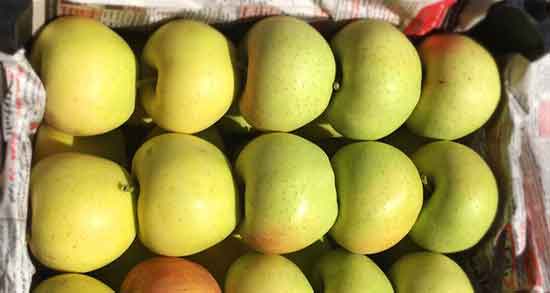 خواص سیب و دارچین ؛ ایا ترکیب سیب و دارچین برای گلو درد مفیده