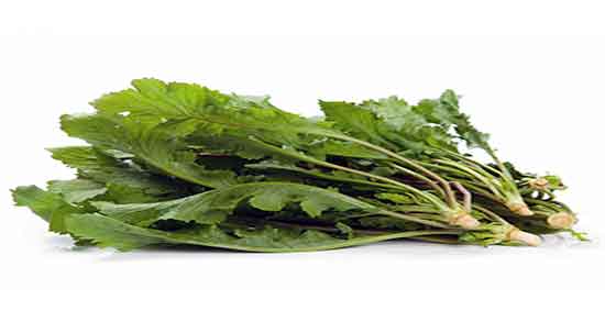 خواص شاهی برای دیابت ؛ فواید مصرف شاهی برای قند خون بالا