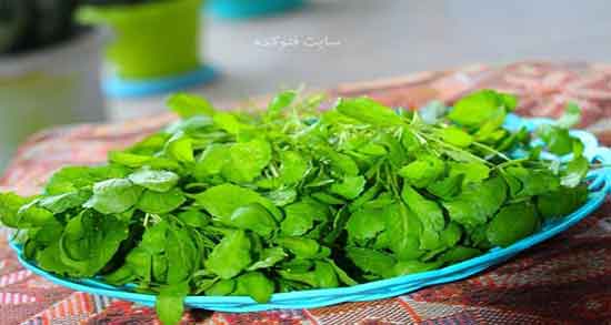 خواص شاهی در روایات و مصرف شاهی در قران و روایات اسلامی خواص شاهی در روایات ؛ مصرف شاهی در قران و روایات اسلامی