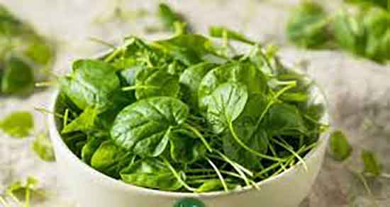 خواص شاهی در سبزی خوردن و ایا مصرف شاهی در سبزی خوردن مفیده خواص شاهی در سبزی خوردن ؛ ایا مصرف شاهی در سبزی خوردن مفیده