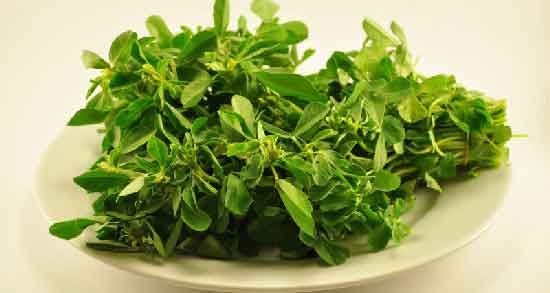 خواص شنبلیله برای باردار شدن ؛ درمان ناباروری با مصرف شنبلیله
