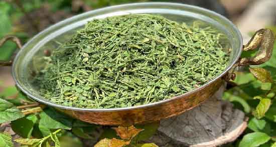 خواص شنبلیله برای عفونت رحم ؛ خاصیت دارویی شنبلیله برای درمان عفونت رحم