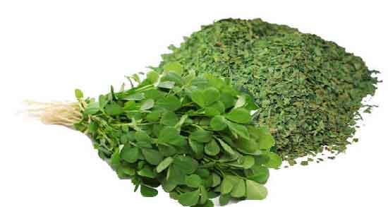 خواص شنبلیله برای مو ؛ درمان ریزش و شوره مو با شنبلیله