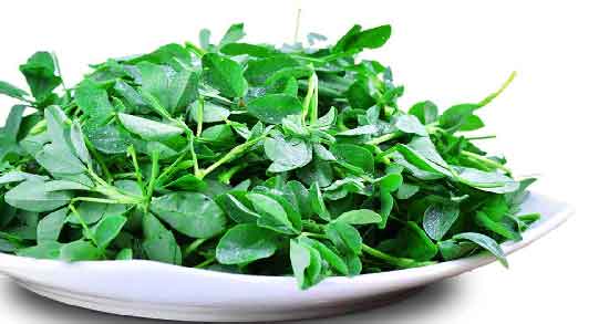 خواص شنبلیله برای چاقی صورت و روش استفاده از شنبلیله برای تپل شدن صورت خواص شنبلیله برای چاقی صورت ؛ روش استفاده از شنبلیله برای تپل شدن صورت