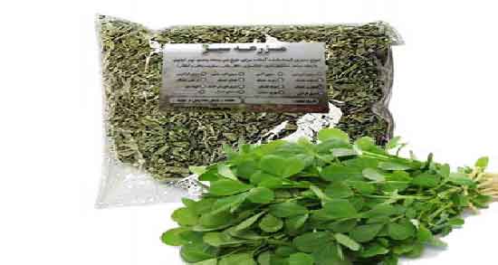 خواص شنبلیله برای چربی خون ؛ فواید مصرف شنبلیله برای کاهش چربی خون
