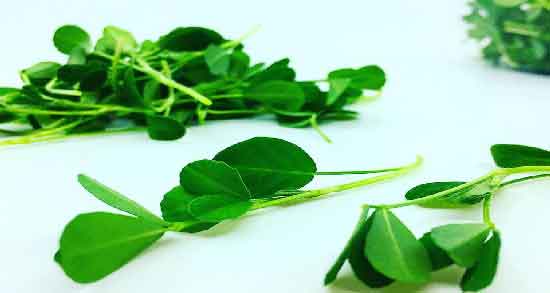 خواص شنبلیله در قاعدگی و کاهش دردهای قاعدگی با مصرف شنبلیله خواص شنبلیله در قاعدگی ؛ کاهش دردهای قاعدگی با مصرف شنبلیله