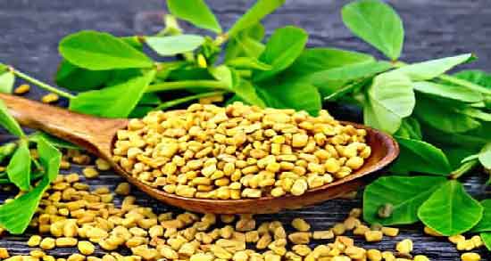 خواص شنبلیله و رازیانه ؛ استروژن موجود در شنبلیله و رازیانه مفید برای تنظیم هورمون ها