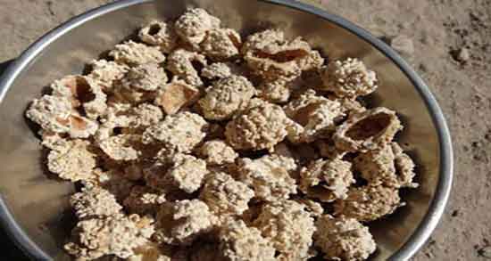 خواص شکر تیغال برای کودکان ؛ فواید مصرف شکر تیغال برای اطفال