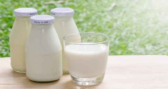 خواص شیر الاغ برای صورت و جوانسازی پوست صورت با خوردن شیر الاغ خواص شیر الاغ برای صورت ؛ جوانسازی پوست صورت با خوردن شیر الاغ