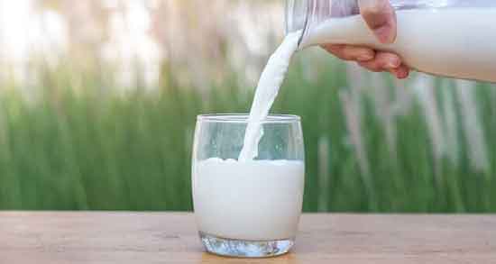 خواص شیر الاغ برای کرونا ؛ خواص درمانی شیر الاغ برای بیماری کرونا