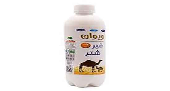 خواص شیر شتر در طب سنتی ؛ فواید مصرف شیر شتر از نظر طب سنتی