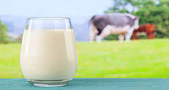 خواص شیر موز برای چاقی صورت و فواید خوردن شیر موز برای چاقی صورت خواص شیر موز برای چاقی صورت ؛ فواید خوردن شیر موز برای چاقی صورت