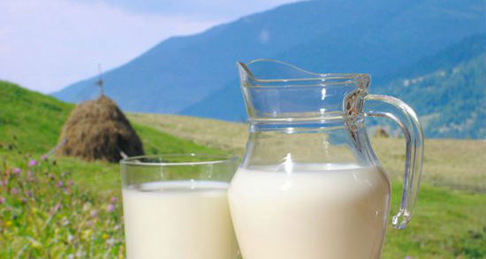 خواص شیر گاو برای لاغری ؛ فواید مصرف شیر گاو برای چربی سوزی