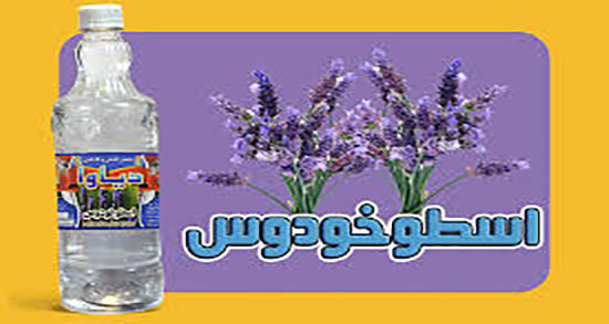 خواص عرق اسطوخودوس برای اعصاب ؛ عرق اسطوخودوس برای حافظه