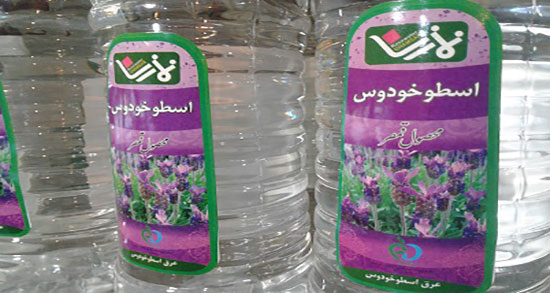 خواص عرق اسطوخودوس در بارداری ؛ عرق اسطوخودوس در دوران بارداری
