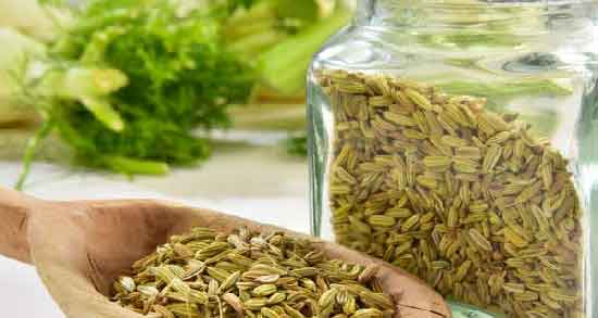 خواص عرق رازیانه برای چاقی ؛ تاثیر خوردن عرق رازیانه برای چاق شدن