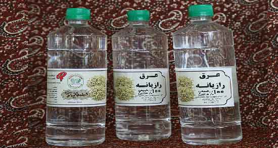 خواص عرق رازیانه برای کبد ؛ درمان مشکلات کبدی با مصرف عرق رازیانه