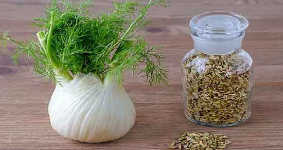 خواص عرق رازیانه در پریودی ؛ تنظیم قاعدگی با مصرف عرق رازیانه