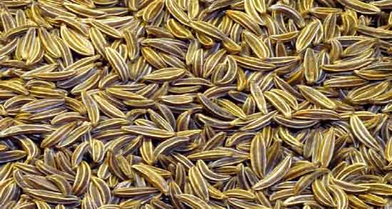 خواص عرق رازیانه و زنیان و خواص شگفت انگیز مصرف عرق رازیانه و زنیان خواص عرق رازیانه و زنیان ؛ خواص شگفت انگیز مصرف عرق رازیانه و زنیان