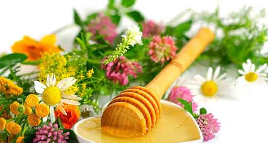 خواص عسل چهل گیاه و اورازان برای پوست + تشخیص عسل چهل گیاه خواص عسل چهل گیاه ؛ اورازان برای پوست + تشخیص عسل چهل گیاه