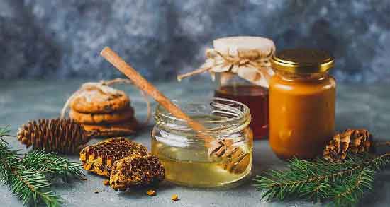 خواص عسل کوهی وحشی ؛ درمان عفونت های بدن با مصرف عسل کوهی وحشی