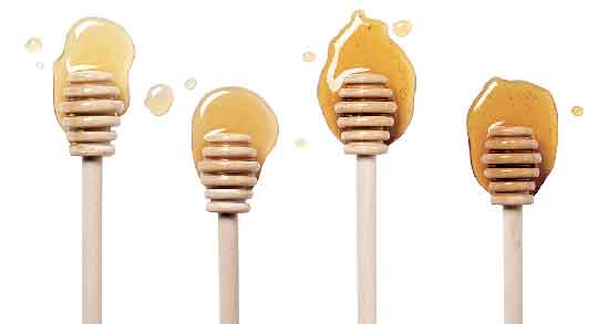 خواص عسل گیاه زول ؛ همه چیز درباره خاصیت مصرف عسل گیاه زول