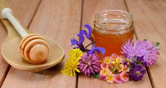 خواص عسل یونجه ؛ و خارشتر برای چاقی + مضرات عسل یونجه