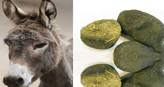 خواص عنبر نسا برای عفونت رحم ؛ خاصیت عنبر نسارا برای عفونت واژن