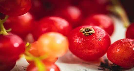 خواص قره قات ؛ برای چشم و کبد در طب سنتی و خواص قره قات چیست