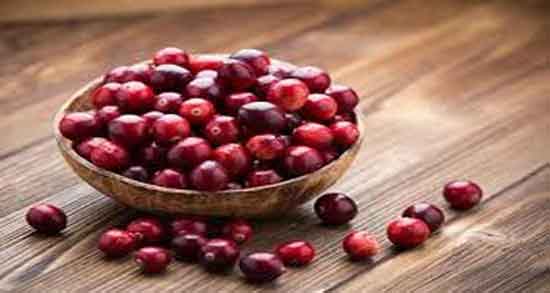 خواص قره قاط ؛ برای دیابت و پوست و چشم و نحوه مصرف دمنوش قره قاط