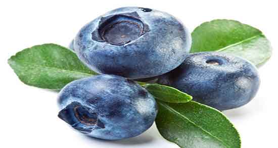 خواص قره قاط در طب سنتی ؛ استفاده از قره قاط از نظر طب سنتی