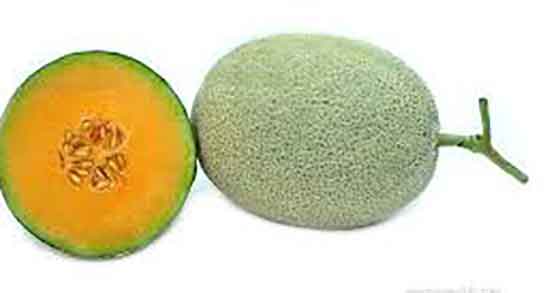 خواص ملون برای زن باردار ؛ فواید مصرف ملون برای جنین زنان بادار