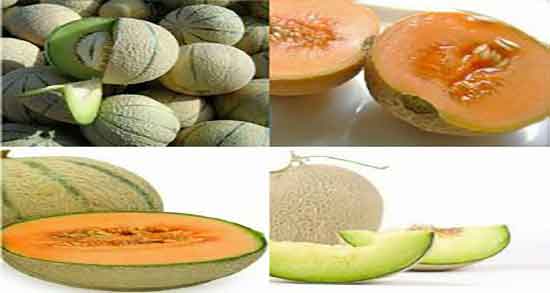 خواص ملون برای سرماخوردگی ؛ ایا خوردن ملون برای گلو درد مفیده