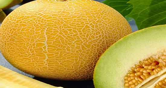 خواص ملون برای معده ؛ درمان نفخ معده با مصرف ملون عسلی