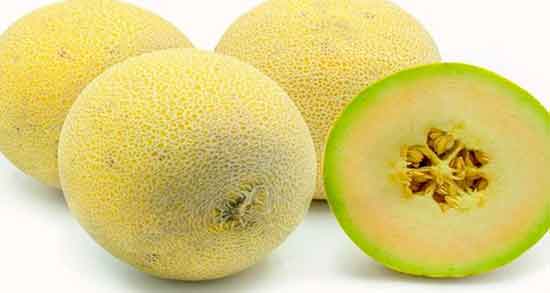 خواص ملون طالبی و خاصیت مصرف ملون و طالبی در بارداری خواص ملون طالبی ؛ خاصیت مصرف ملون و طالبی در بارداری