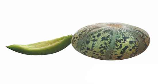 خواص ملون و طالبی در بارداری و ایا ملون و طالبی برای زنان باردار خوبه خواص ملون و طالبی در بارداری ؛ ایا ملون و طالبی برای زنان باردار خوبه