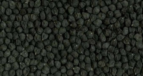 خواص نخود سیاه برای مو ؛ تقویت موی سر با مصرف نخود سیاه پخته