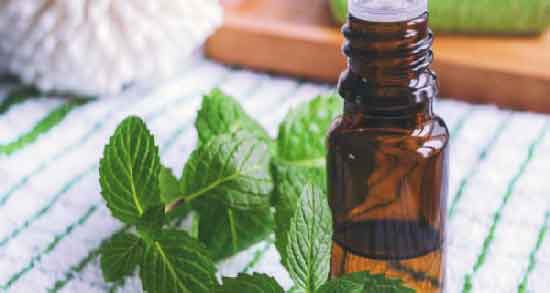 خواص نعناع فلفلی برای پوست ؛ درمان سریع آفتاب سوختگی با مصرف نعناع فلفلی