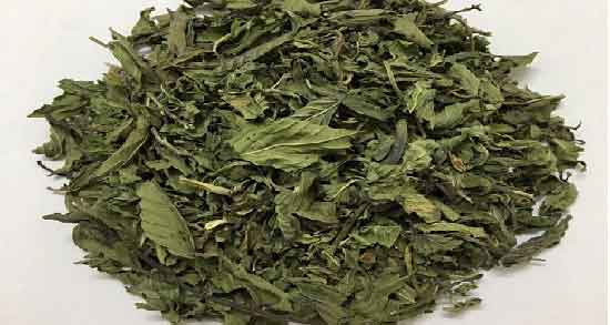 خواص نعناع فلفلی خشک و خاصیت درمانی مصرف نعناع فلفلی خشک خواص نعناع فلفلی خشک ؛ خاصیت درمانی مصرف نعناع فلفلی خشک