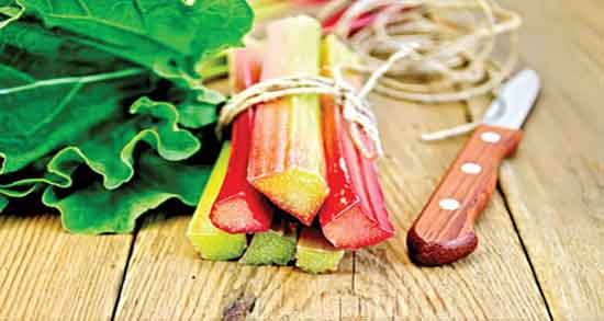 خواص و مضرات برگ ریواس و فواید و عوارض مصرف برگ ریواس برای بدن خواص و مضرات برگ ریواس ؛ فواید و عوارض مصرف برگ ریواس برای بدن