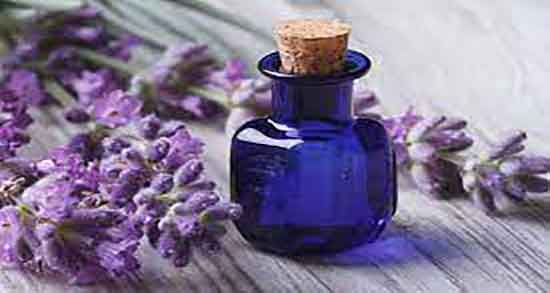 خواص و مضرات روغن اسطوخودوس ؛ فواید و عوارض روغن اسطوخودوس