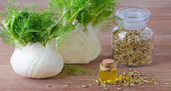 خواص و مضرات روغن رازیانه ؛ آشنایی با خواص و مضرات استفاده از روغن رازیانه